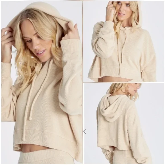 🔥WILDFOX🔥TRENTON HOODIE CROPPED SWEATSHIRT COLOR WHEAT XS/MEDIUM NWT - Picture 1 of 8